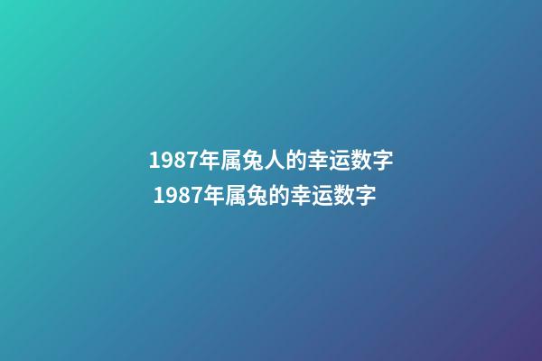1987年属兔人的幸运数字 1987年属兔的幸运数字-第1张-观点-玄机派